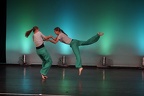 Dancework 2013 © holnsteiner 032