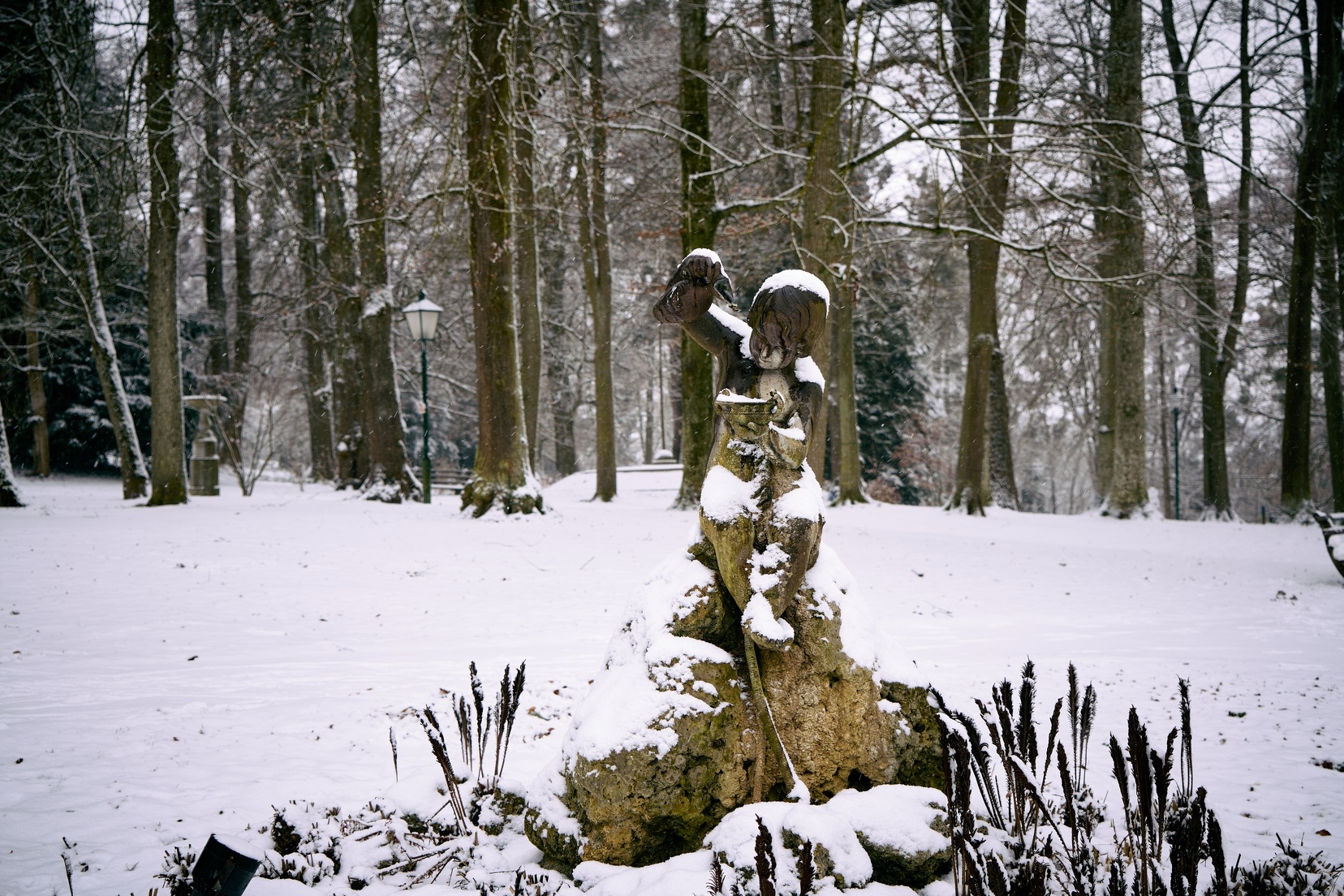 Jänner 25 © holnsteiner 002.jpg
