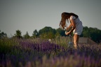 Lavendel © holnsteiner 027 kl