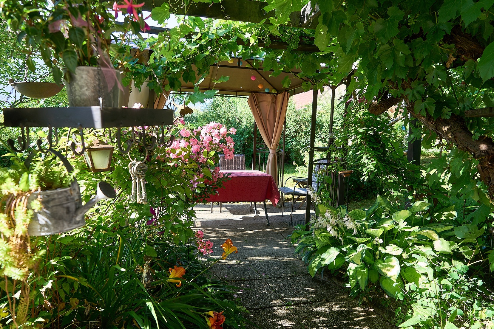 Haid 3 © holnsteiner 010 kl.jpg