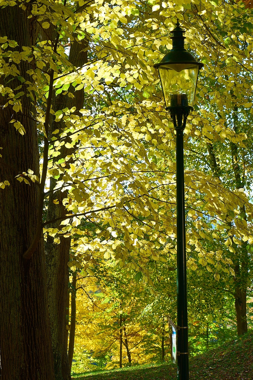 Bad Hall Okt© holnsteiner 025 kl.jpg