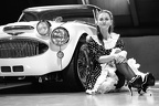 Viki Motorblock © holnsteiner 034 kl