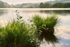 Rauschelesee 26 © holnsteiner 118 kl