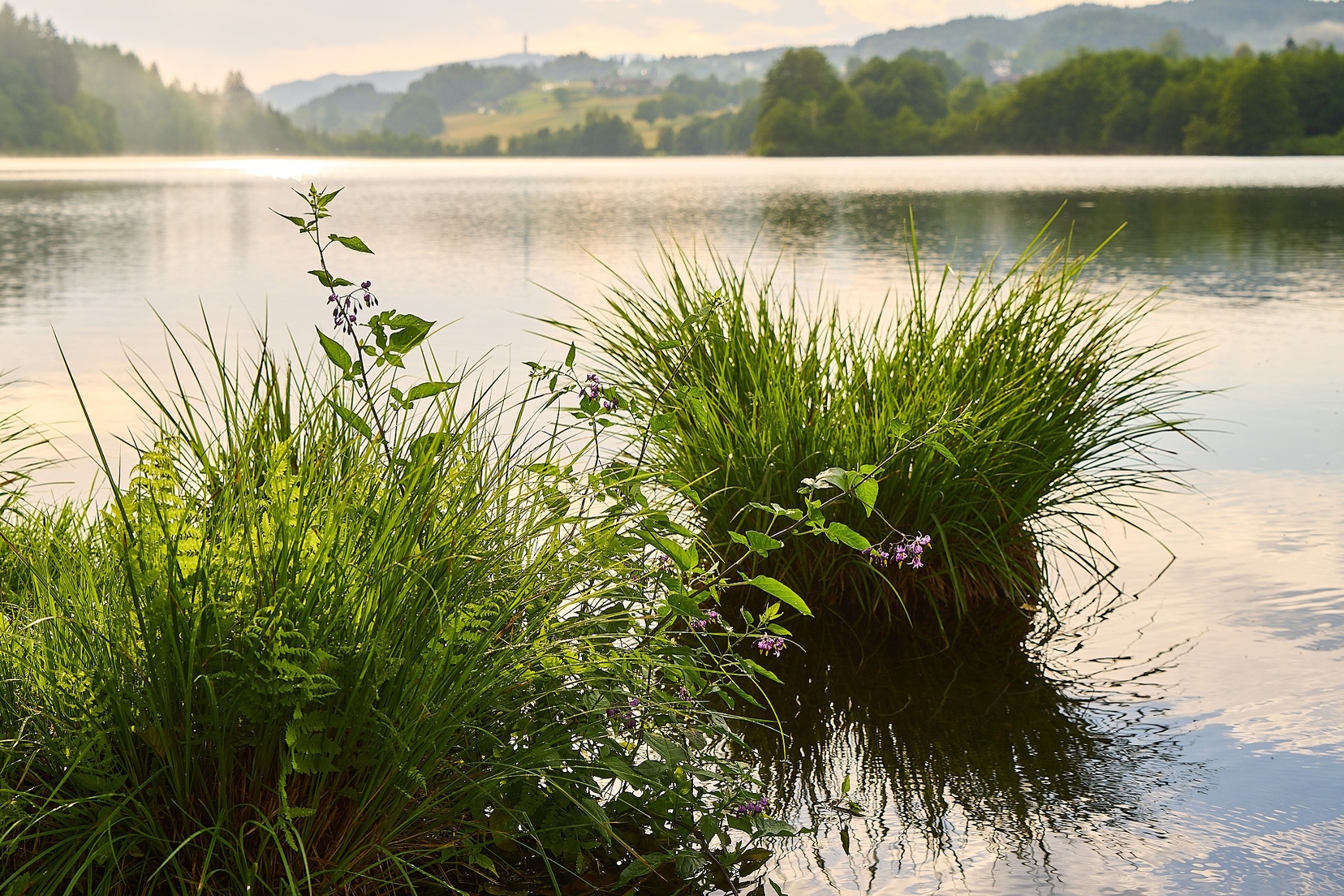 Rauschelesee 26 © holnsteiner 118 kl.jpg